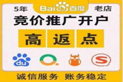 案例解读：SEM广告如何助力品牌崛起